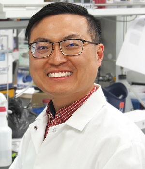Chao  Wang, PhD
