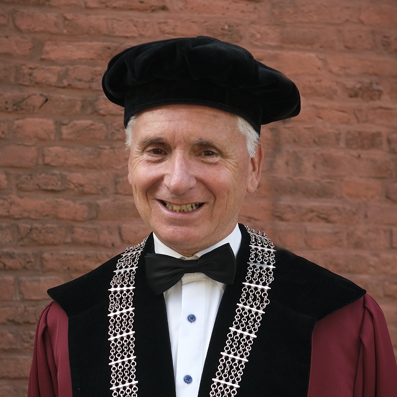 Harry Steinbusch, PhD portrait