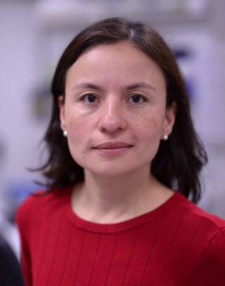 Lucía   Chávez-Gutiérrez, PhD