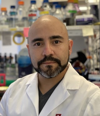 Juan   Codocedo, PhD