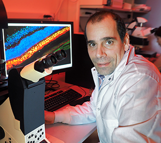 Claudio  Punzo, PhD