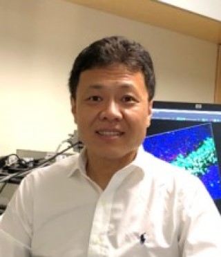 Heng   Du, MD, PhD
