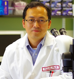 Yang  Hu, MD, PhD